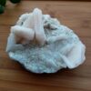 Apofyliet met roze Stilbiet